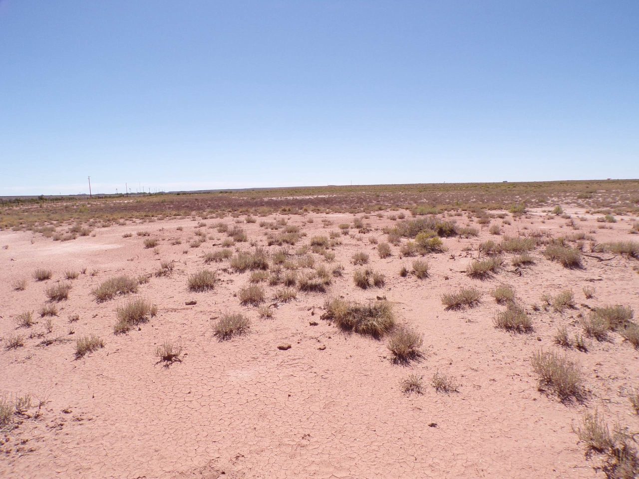 1.25 Acres in Sun Valley, AZ – Only $2,500 Cash or $99/Month
