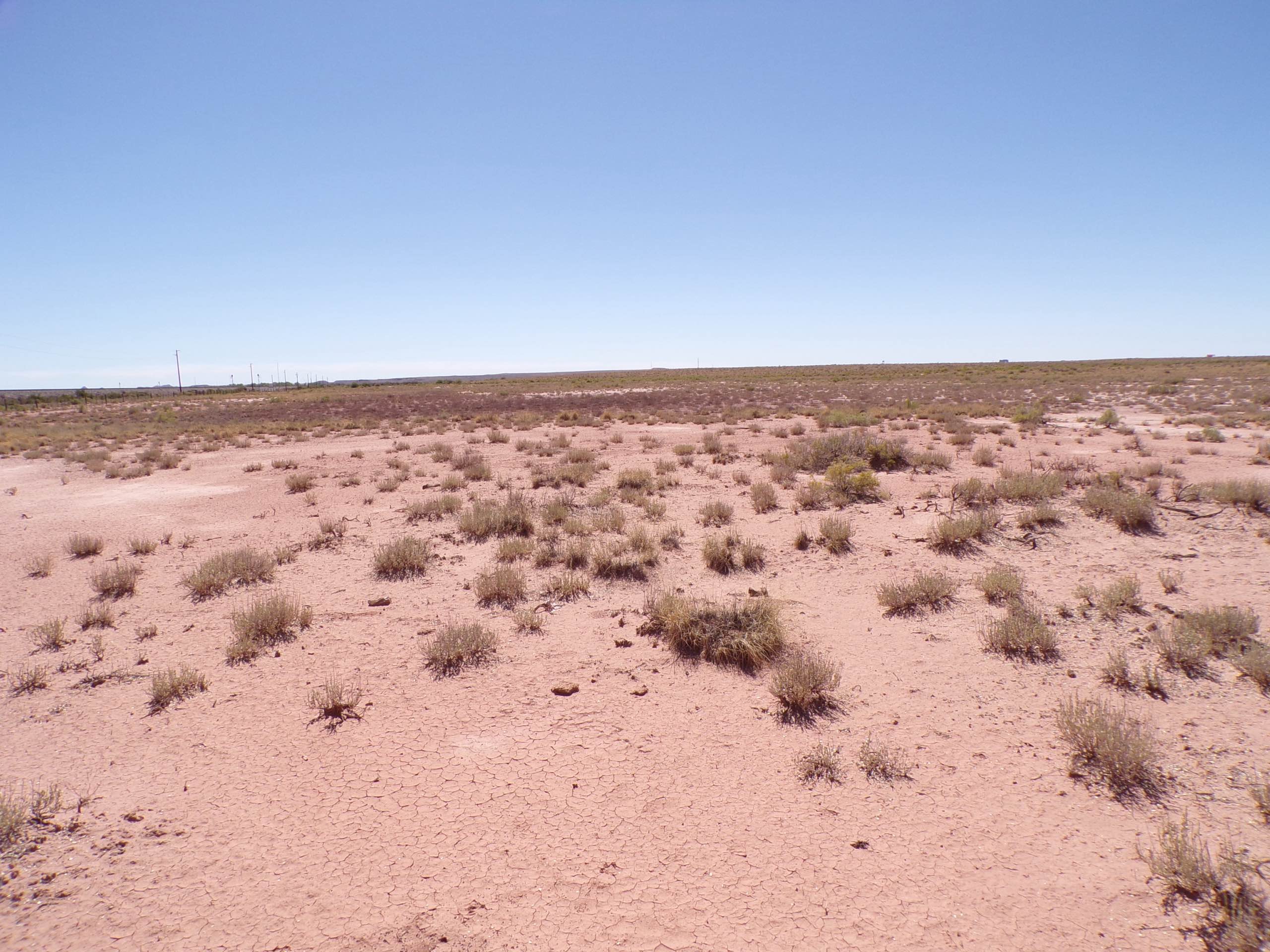 1.25 Acres in Sun Valley, AZ – Only $2,500 Cash or $99/Month