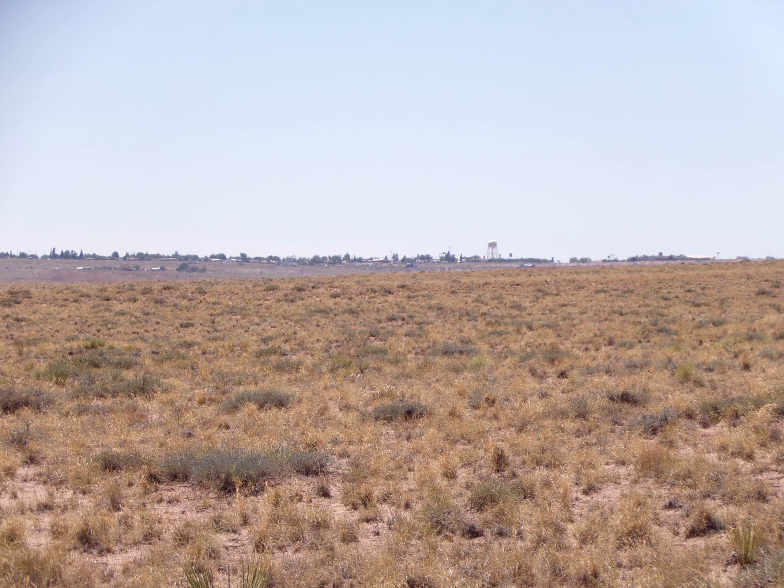 Build or Camp on 1.25 Acres Near Petrified Forest